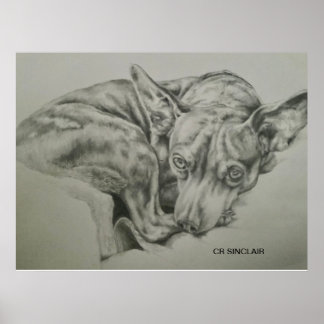 Print, Matte )MEET SAM von CR Sinclair Poster