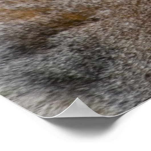 Print - Niedlicher Lemur Stripey Schwanz Poster (Ecke)