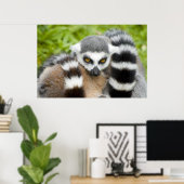 Print - Niedlicher Lemur Stripey Schwanz Poster (Heimbüro)