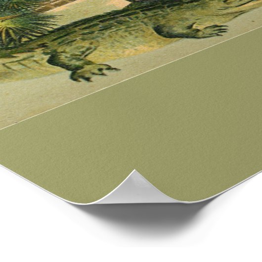 Print of 1905 St. Augustine Florida Poster (Ecke)