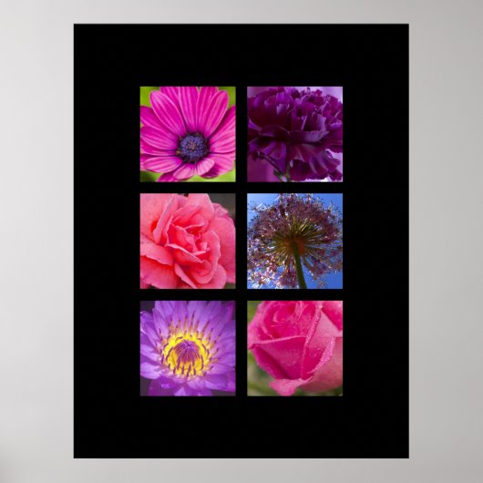 Print - Rosa und violette Blumen Poster (Vorne)