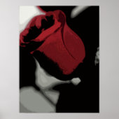 Print - Single-Rote Rose Poster (Vorne)