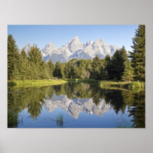 Print - Tetons Reflektion Poster