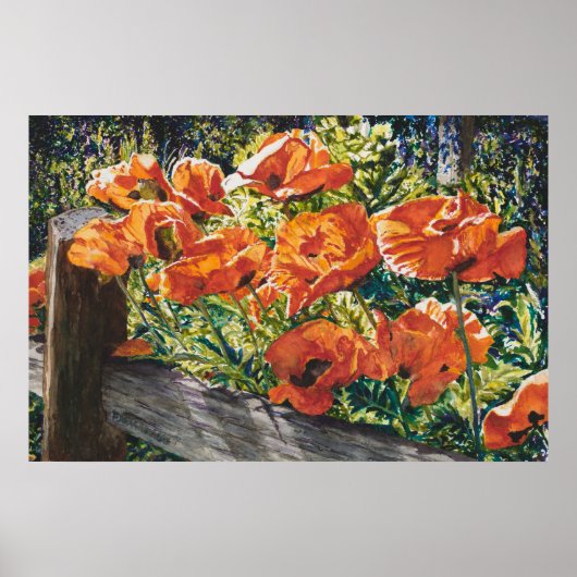 Print, Value Poster Paper (Matte) (Vorne)