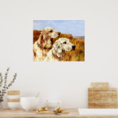 Print: Zwei Setter von Arthur Wardle Poster (Küche)