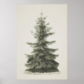 Printable Christmas Tree Poster (Vorne)
