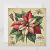 Printable Retro Poinsettia Botanisches Scrapbook Einladung (Rückseite)