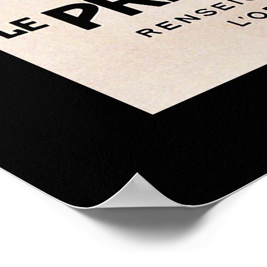 Printemps in Hollande ~ Spingtime Poster (Ecke)