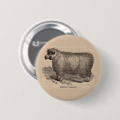 Printjarling Cotswold Schafe aus dem 19. Jahrhunde Button (Vorne & Hinten)
