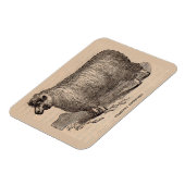 Printjarling Cotswold Schafe aus dem 19. Jahrhunde Magnet (Linke Seite)