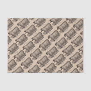 Printjarling Cotswold Schafe aus dem 19. Jahrhunde Seidenpapier