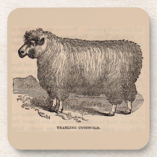 Printjarling Cotswold Schafe aus dem 19. Jahrhunde Untersetzer (Vorderseite)