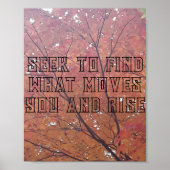 Printmedien, Werteplakat (Matte) Poster (Vorne)