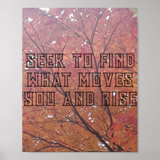 Printmedien, Werteplakat (Matte) Poster