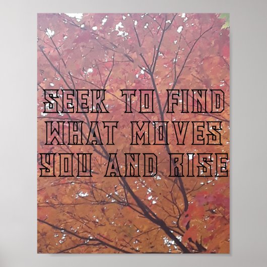 Printmedien, Werteplakat (Matte) Poster (Vorne)