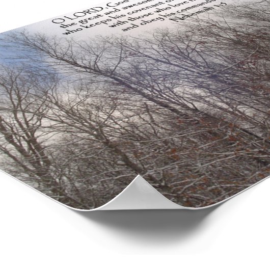 Prints & Poster: Schneebäume Poster (Ecke)