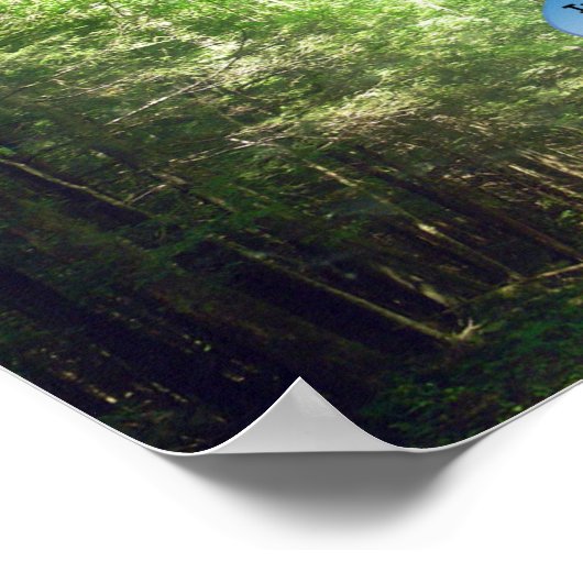 Prints & Poster: Weg durch den Wald Poster (Ecke)