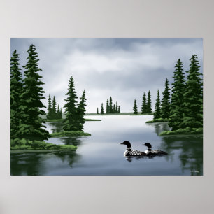 Prints von Common Loon Art Poster