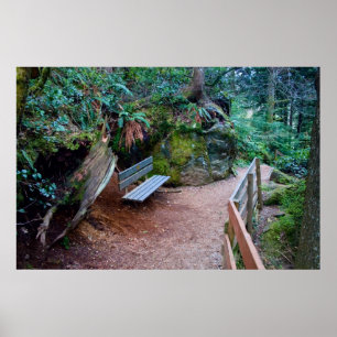 Printwerbung für den Waldweg Poster