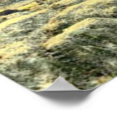 Printwerbung Poster (Ecke)