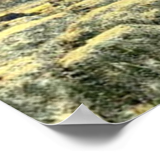 Printwerbung Poster (Ecke)