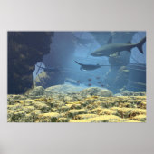 Printwerbung Poster (Vorne)