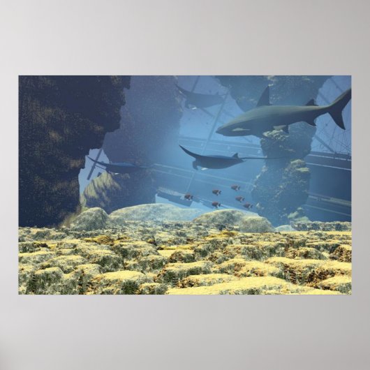 Printwerbung Poster (Vorne)