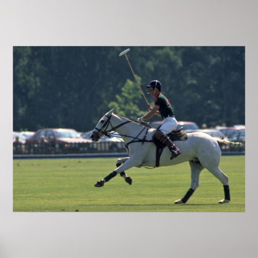 Prinz Charles Playing Polo bei Windsor Poster (Vorne)