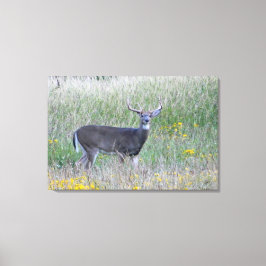 Prinz der Wiese (Hirsch) Leinwand drucken