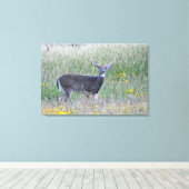 Prinz der Wiese (Hirsch) Leinwand drucken (Insitu (Holzboden))