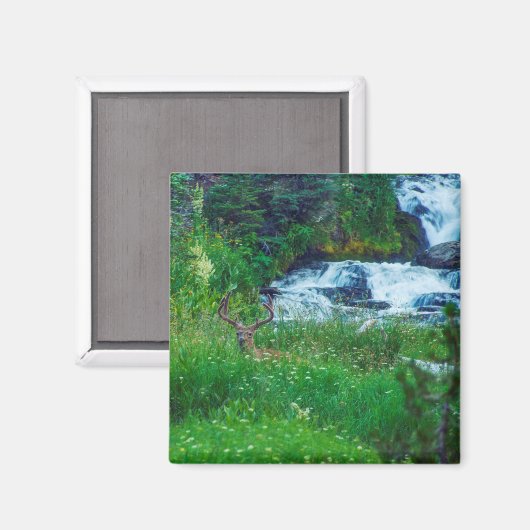 Prinz des Waldes Magnet (Vorderseite/Rückseite)