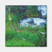 Prinz des Waldes Magnet (Vorne)