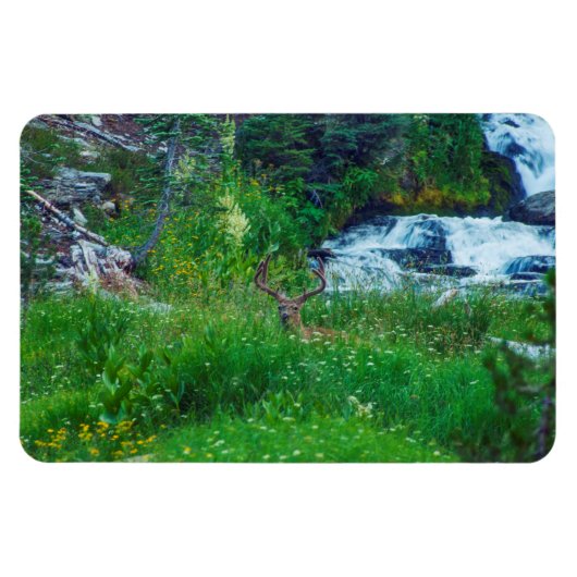 Prinz des Waldes Magnet (Horizontal)