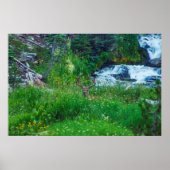 Prinz des Waldes Poster (Vorne)