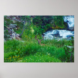 Prinz des Waldes Poster