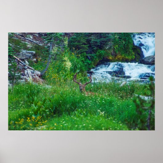 Prinz des Waldes Poster (Vorne)