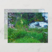 Prinz des Waldes Postkarte (Vorne/Hinten)