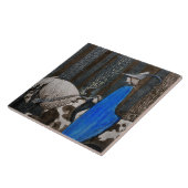 Prinz und Tomten fahren durch den Wald Fliese (Seite)