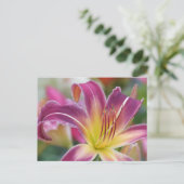 Prinz von Lila - Taglilie Postkarte (Stehend Vorderseite)