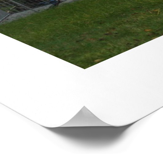 Prinzengracht. Amsterdam Poster (Ecke)