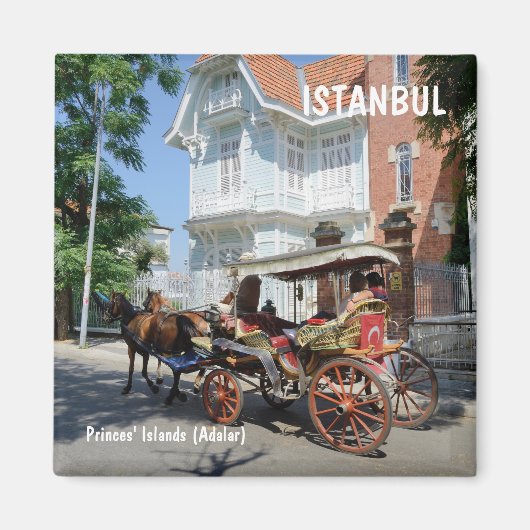 Prinzeninseln (Adalar), Istanbul Magnet (Vorne)