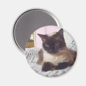 Prinzessin auf dem Sofa Magnet (Vorderseite/Rückseite)