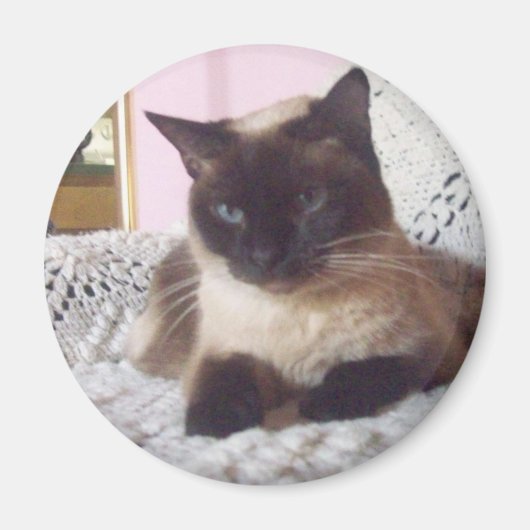 Prinzessin auf dem Sofa Magnet (Vorne)