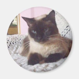 Prinzessin auf der Couch Magnet