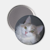 Prinzessin Calico Magnet (Vorderseite/Rückseite)