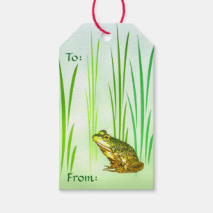 Prinzessin Charming Frog Pack der Geschenkanhänger