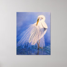 Prinzessin des Nebels