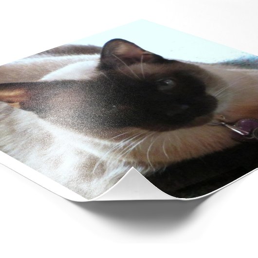 Prinzessin Fotodruck (Ecke)