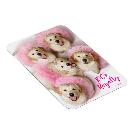 Prinzessin Hunde in Tiaras Magnet (Rechte Seite)