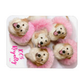Prinzessin Hunde in Tiaras Magnet (Horizontal)